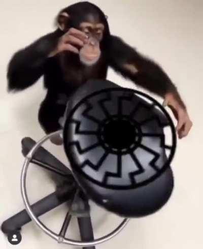 Monke