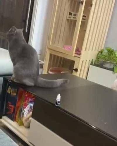 He confused but he got the spirit!