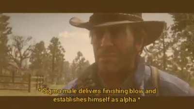 Sigma Male Outlaw (rarest archetype)