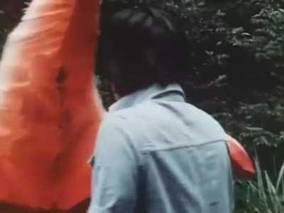 Yes no yes no yes NOOO