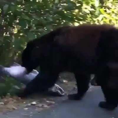 Can you guys help me id this fish? Someone in the comments claimed this was a pink. He is wrong obviously. The size of this lad makes me think it can't be anything other than a King, but the color matches up with Coho. I also couldn't see spots on the tai