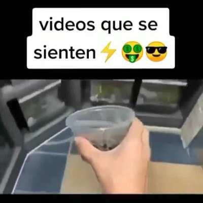 Como bana ve a las hormigas