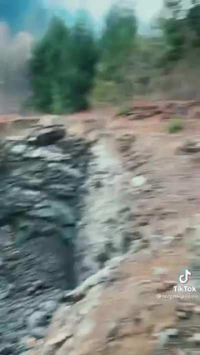 Just guys being dudes being monke together