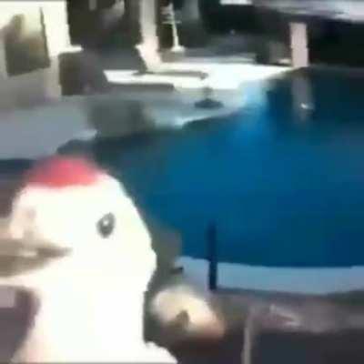 Luangameplay666 - Video #5746