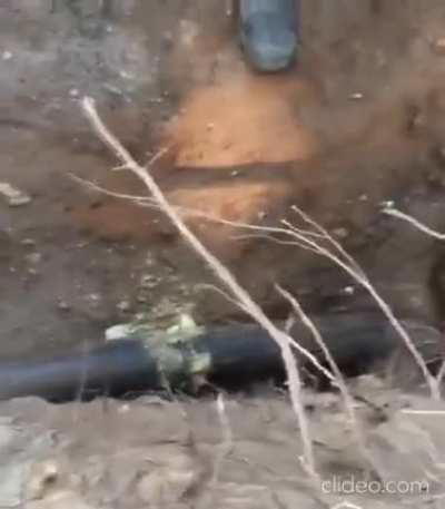 Oh god my mouth was open