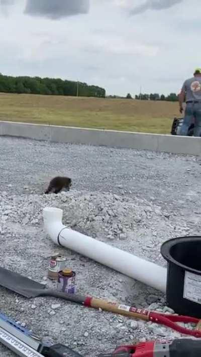 That is the frickin cutest