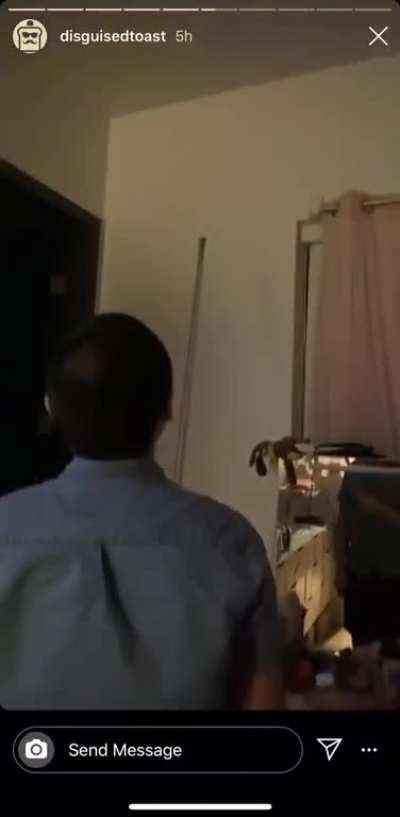 Toast Murders Spider