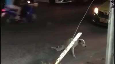 Oscar worthy performance