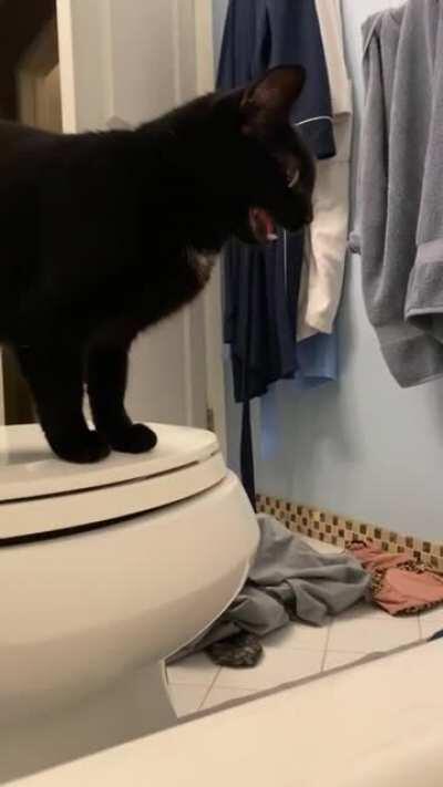 she hasn’t learned to use her inside voice even after 2 years