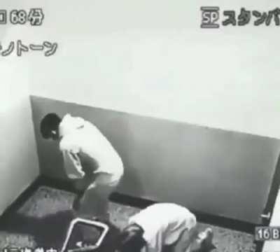 辐射新维加斯性