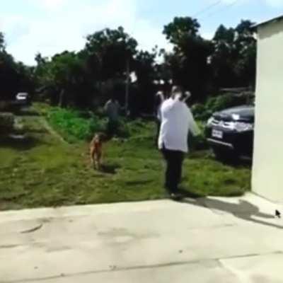 Barry Gammon (1952-2018)