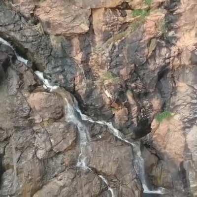 What could go wrong while happen capturing some lovely footage of goats climbing a mountain