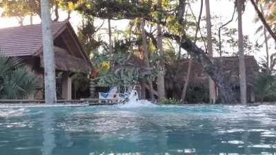 Playing with her beautiful boobs in a pool 👀