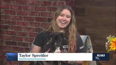 Today In Nashville. WSMV4 TV. October 14th 2025