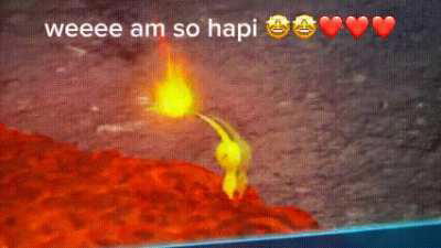 hand over those reaction images