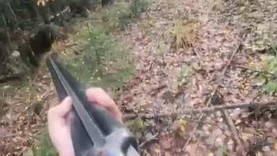 Man holds back from shooting a brown bear with cubs that charges him 3 times