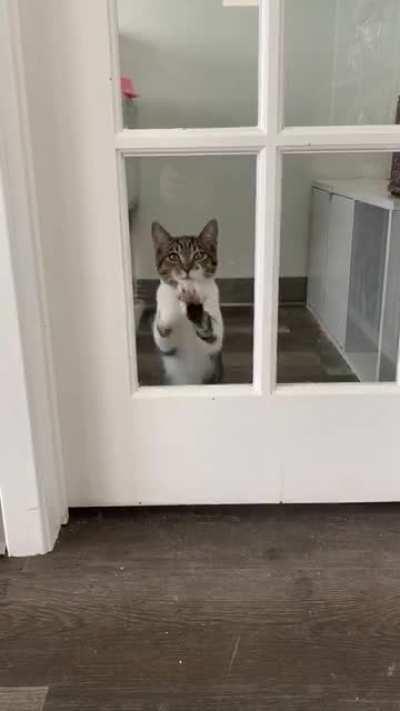 She wanted to see my friend’s doggo