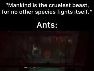 Fun fact: About 50 Ant species practice Slavery (according to Kurzgesagt)