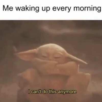 Me too baby Yoda...me too