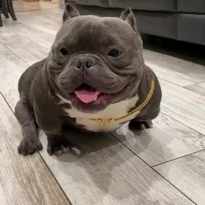 mini devorador de almas