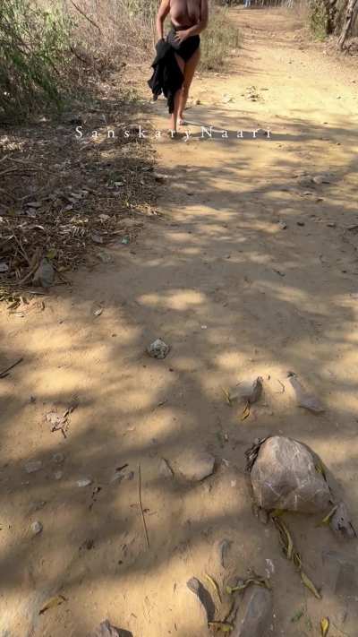 A wild cat in wild forest