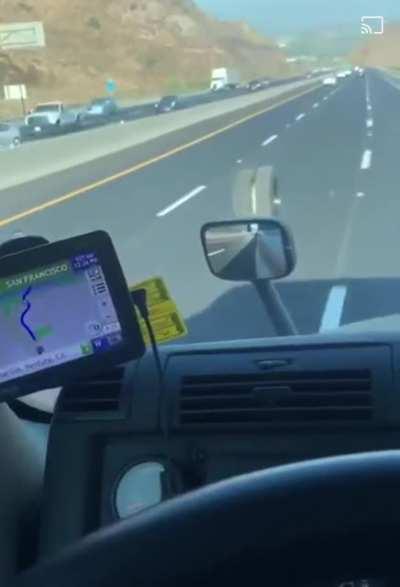 Tires in the wild looking for a new prey