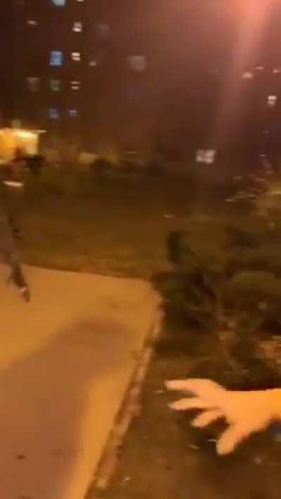 Wordington conflict solving