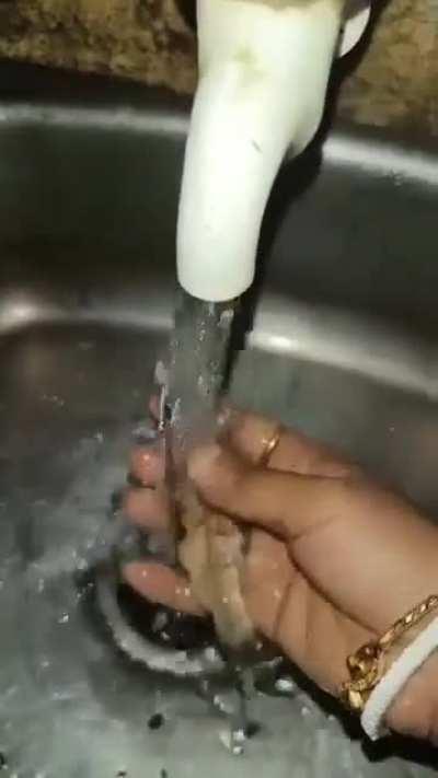 Fish Chai kha lo fraaands