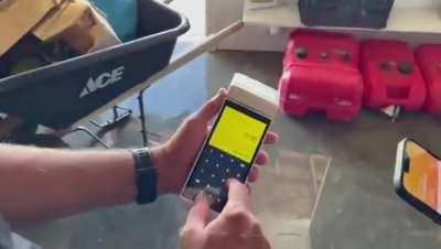 ADOPTION: Paying with BTC on Lightning Network ⚡️ for scuba diving in Roatan, Honduras 🇭🇳