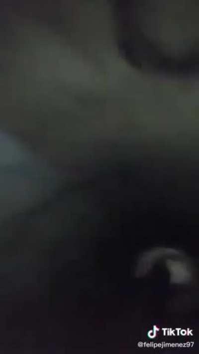 A creepy-looking ass terrifies children in a sewer