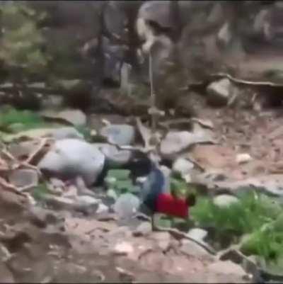 Using a rope swing when there's no river flowing to cover the rocks