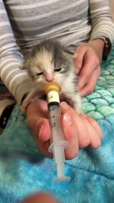 Baby having a little breakfast