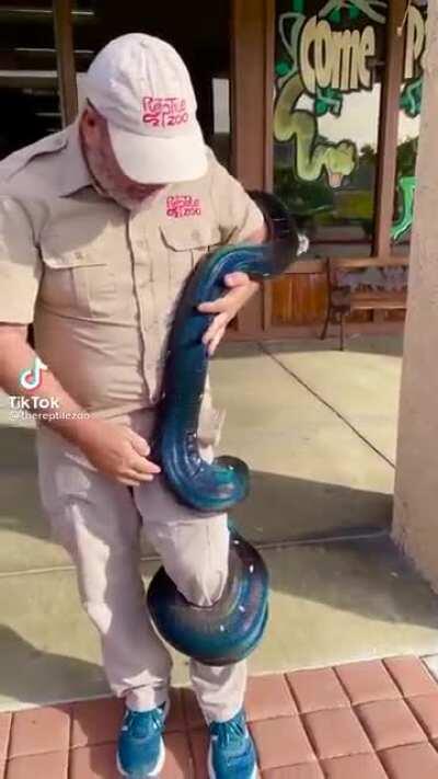 don’t show this to george 😳