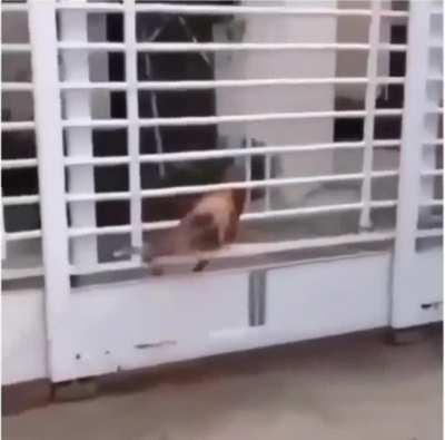 Doing some gymnastic stuff!