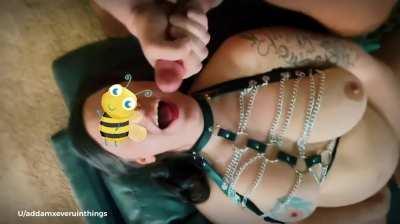 After my bull came on my pussy, I begged my husband to cum on my face