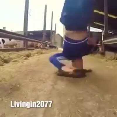 Maybe Maybe Maybe