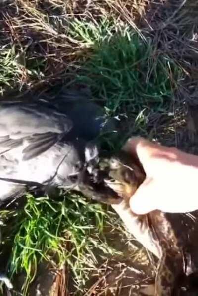 Don't bite off more than you can chew