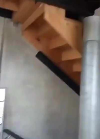 Cats reaction to new puppy in house