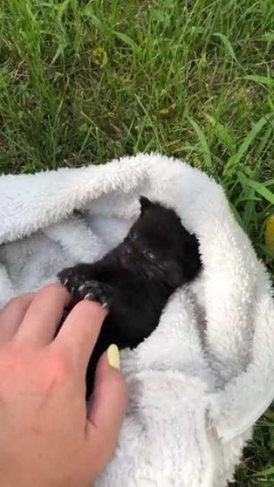 Illegally smol voidddd