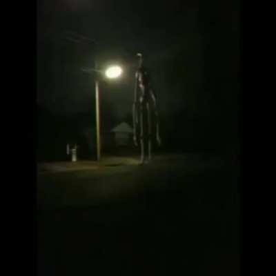 can you believe it guys… christmas… just a week away….