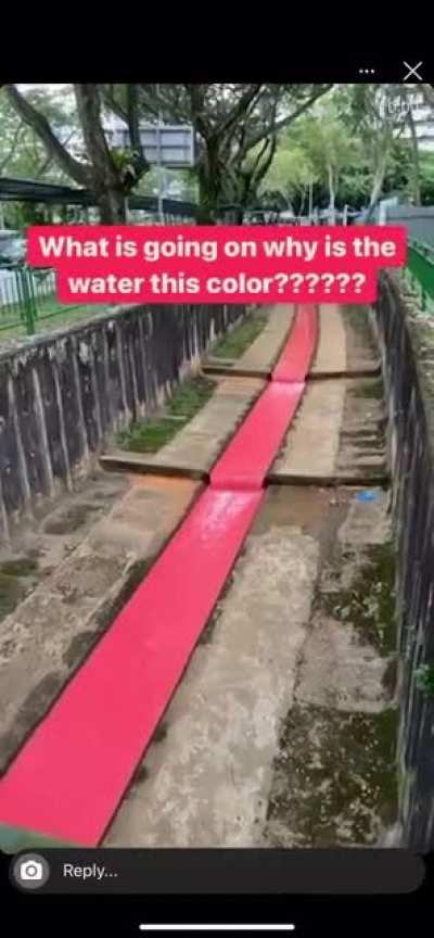 Spotted in Marsiling. What is going on? Why is the water RED?????