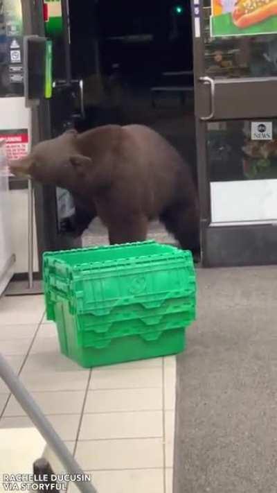 Bears are not welcome costumers