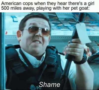 All units, there are further reports of a woman called Mary, who is in possession of a little lamb.