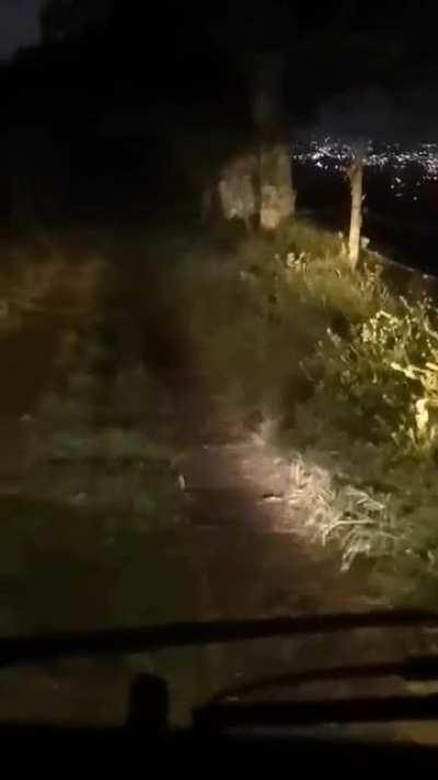 HAAAY MAE QUE SUSTO (el video no es mio)