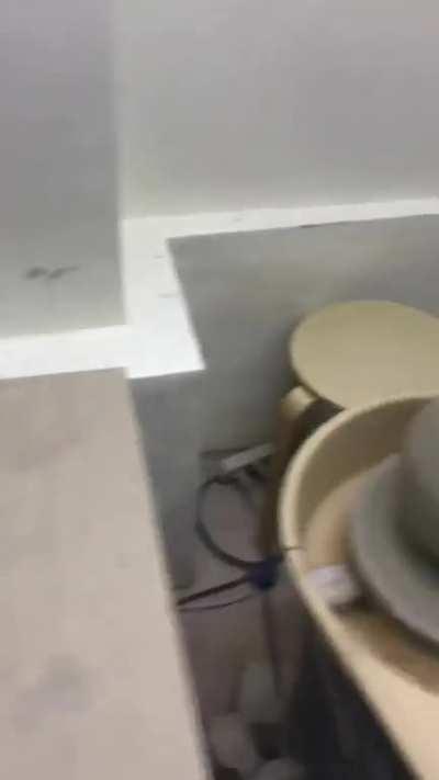 Bro let his intrusive thoughts win