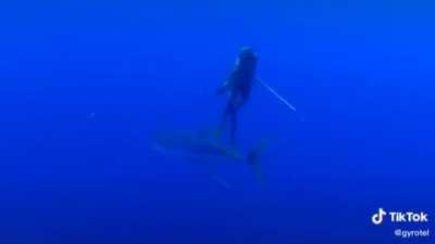 You never know what's lurking beyond your view..