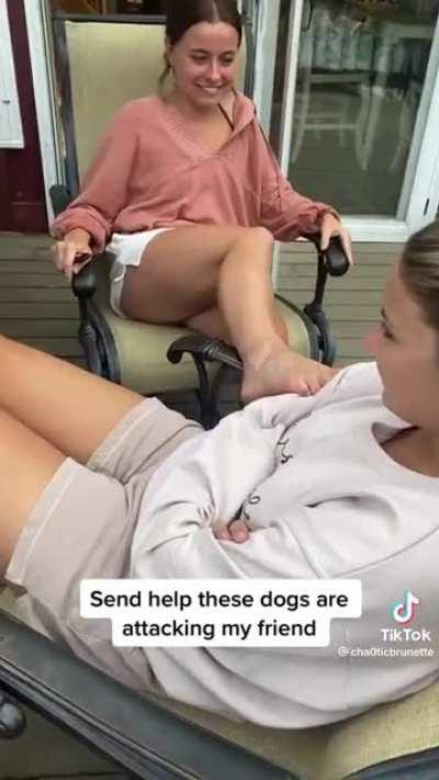 She clearly loves this