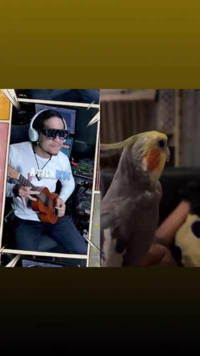 BirbMC Drops it's new hit!!!