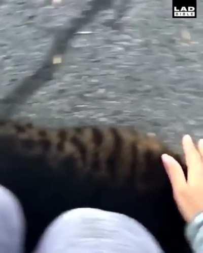 Do you even lift bro?