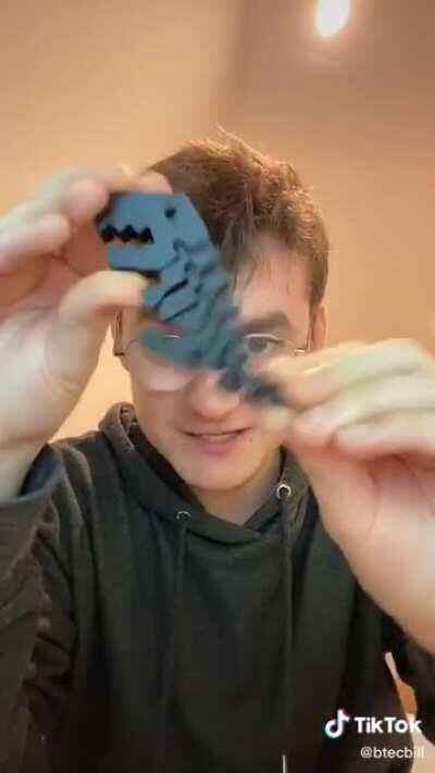 I also wish to be a dinosaur